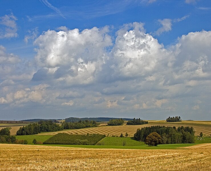 Bergbaulandschaft Lauta (Jens Kugler)
