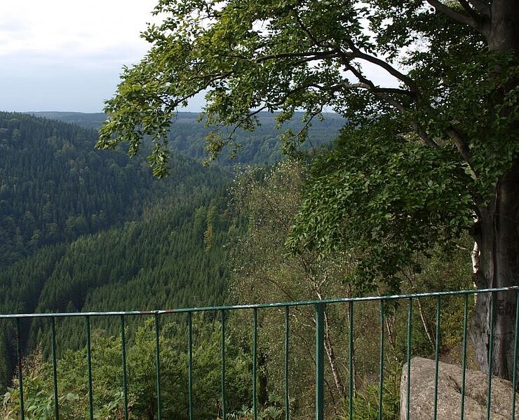  (Udo Brückner)