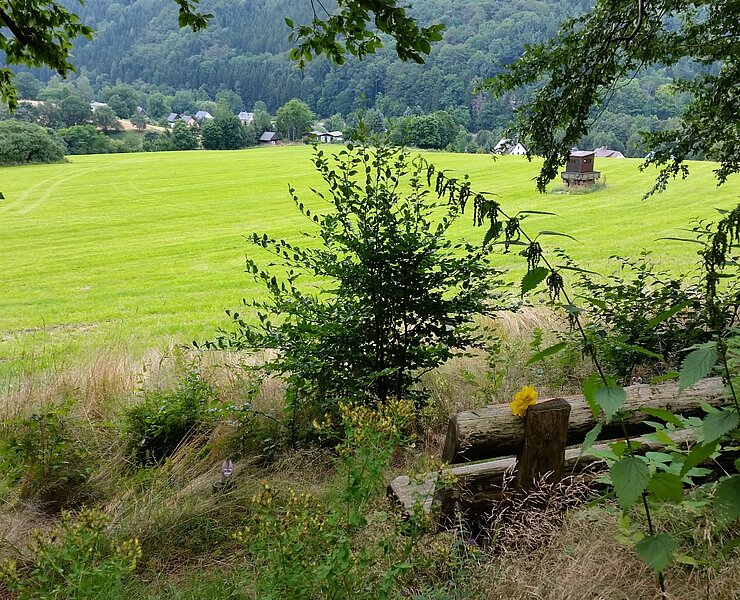 Blick auf Hennersdorf (Sabine May)
