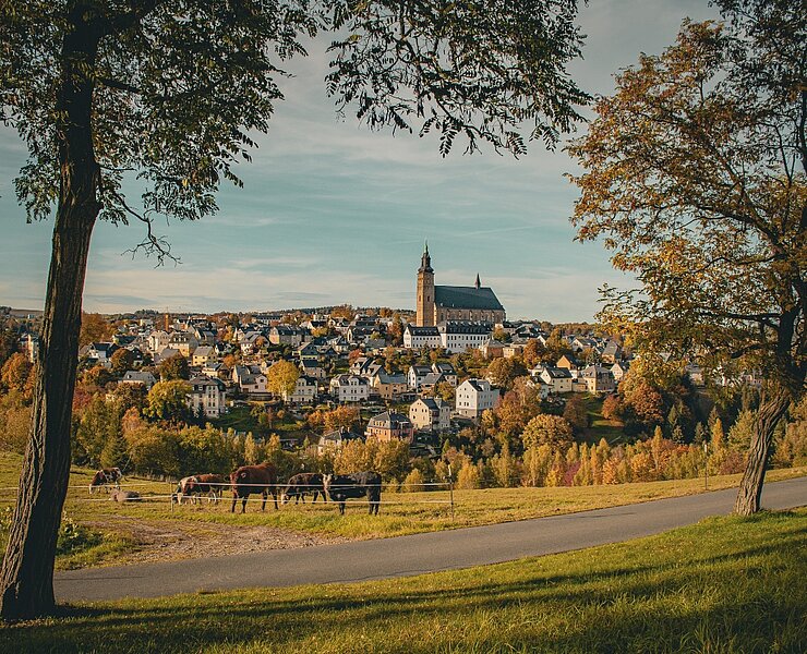 Blick auf die Stadt Schneeberg (Theresa Seidler)