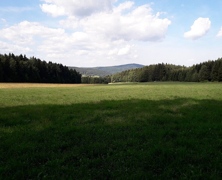 Ausblick (Karin Beer)