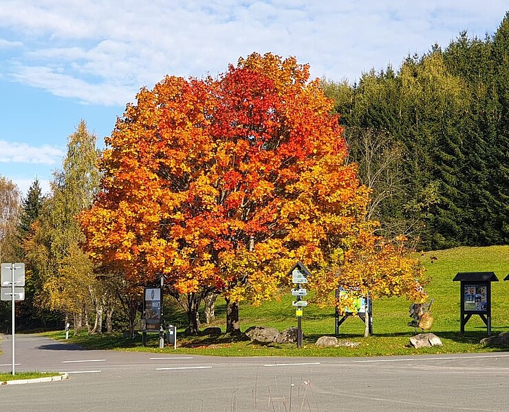 Herbststimmung an der Talsperre Sosa ()