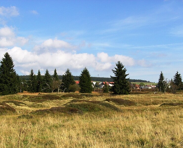 Bergbaulandschaft Gottesgab - Raithalden (WFE GmbH Annaberg-Buchholz)