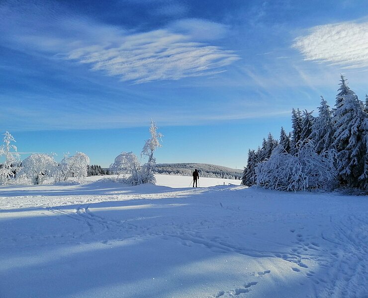 Langlaufgebiet Schellerhau - Loipe Winter ()