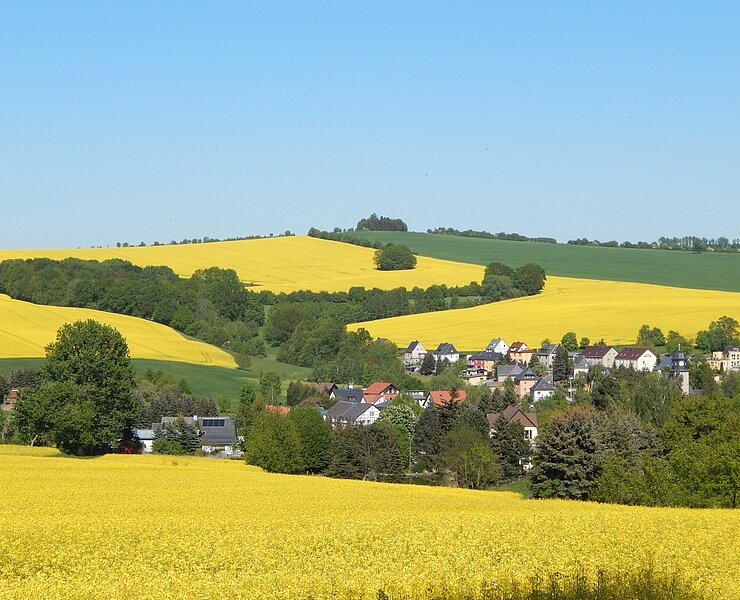 Blick zum Lerchenberg (Tourismus-Information Stadt Rabenau)