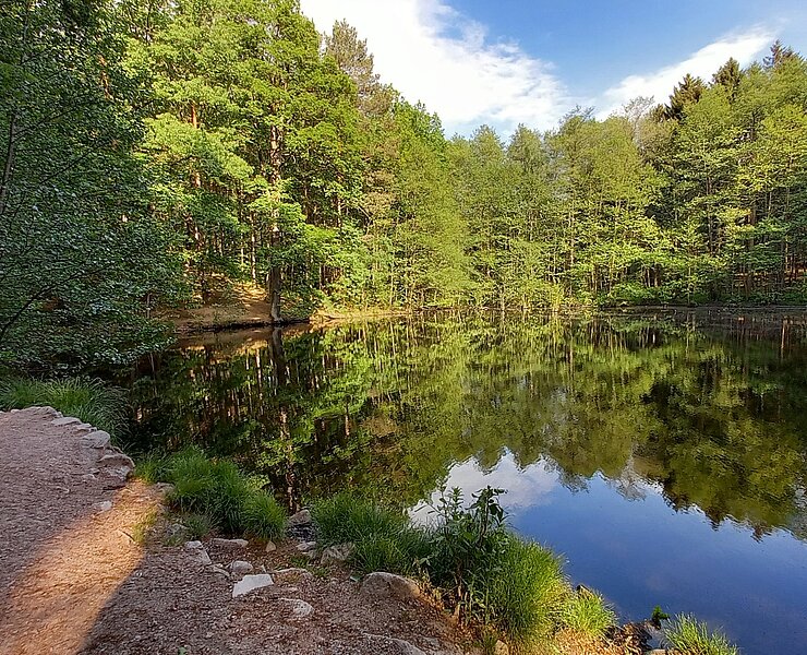 5 Stille genießen am Teich nahe des Forsthauses.jpg ()