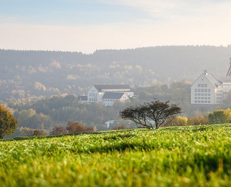 Blick auf die Stadt Altenberg (Lukas Häuser - Naturschutzstation Osterzgebirge )