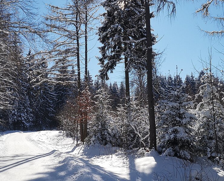 Winterlandschaft am Gerstenberg ()