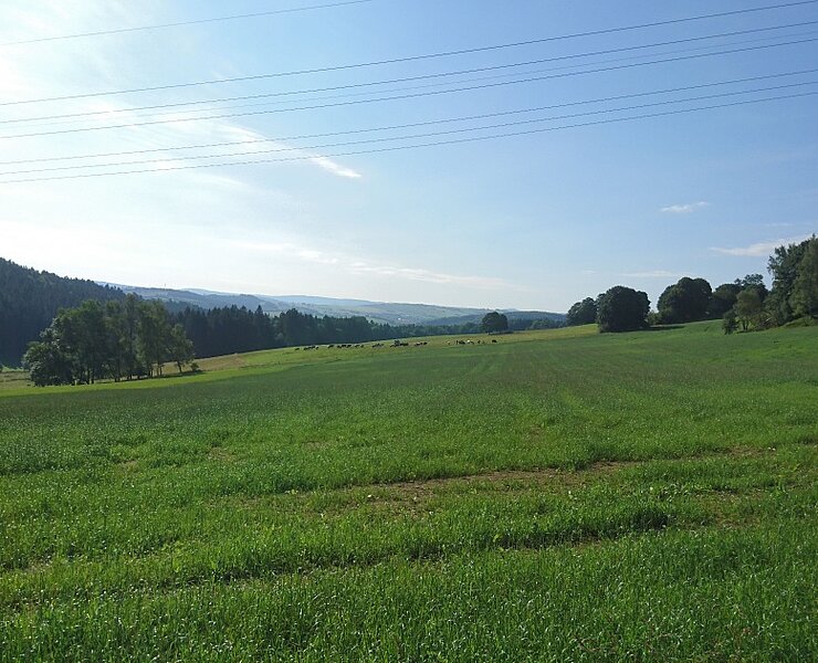 Pöhlberg (Online TVE)
