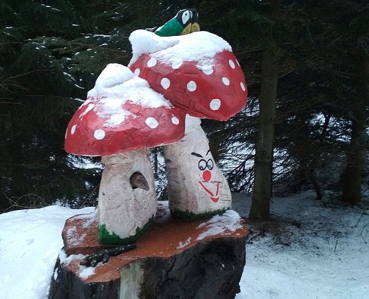 Fliegenpilze am Waldgeisterweg Winter (Susanne Martin)