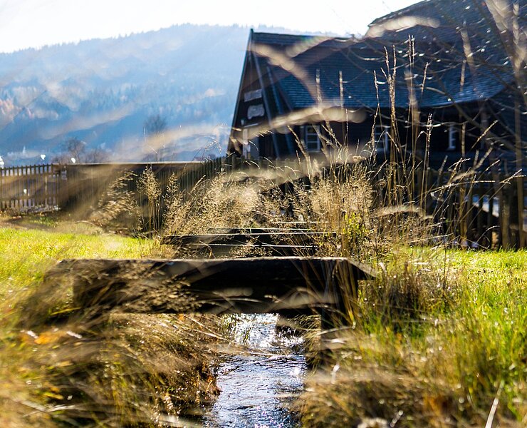 Wasserzulauf Silberwäsche Antonsthal (Tobias Rudelt)