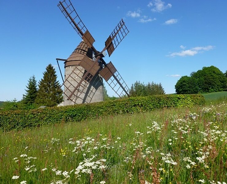 Mühle in Reichstädt (Anja Graul)