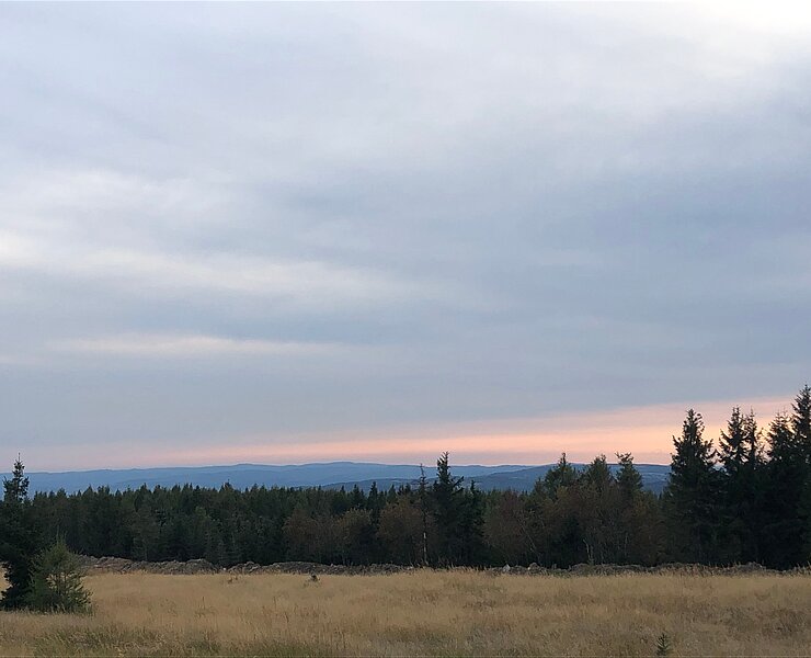 Landschaft Lesná (Tourist Info)