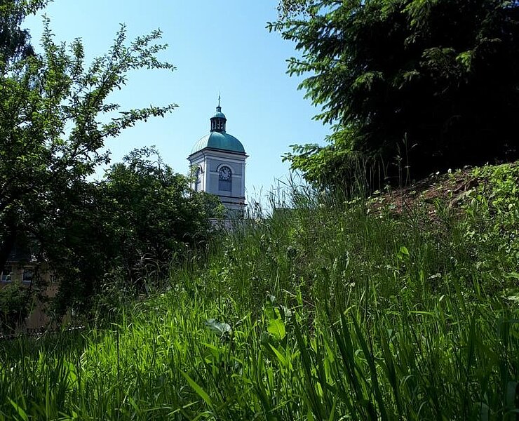 St. Johanniskirche Lößnitz ()