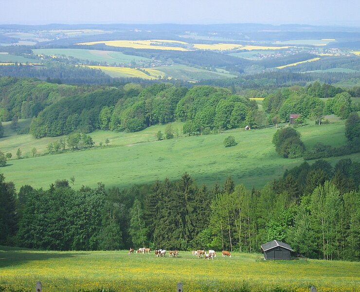Blick Vogtlandhof Hohe Reuth ()