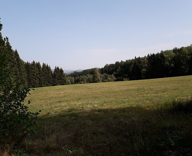 Aussichtspunkt (Karin Beer)