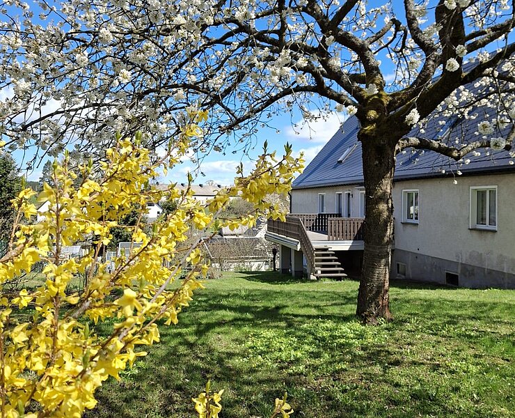 Außengelände / Garten ()