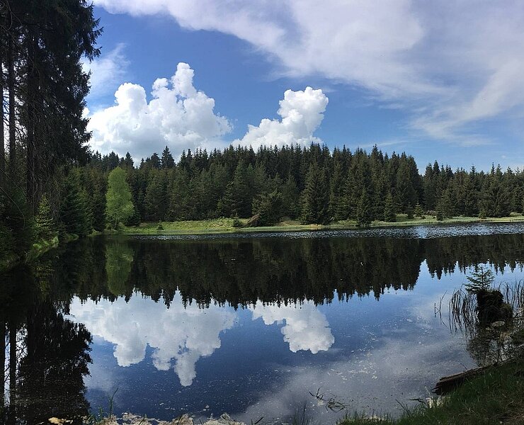 Ullersdorfer Teich (Matthias Drechsel)