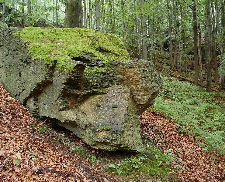  (Matthias Drechsel)