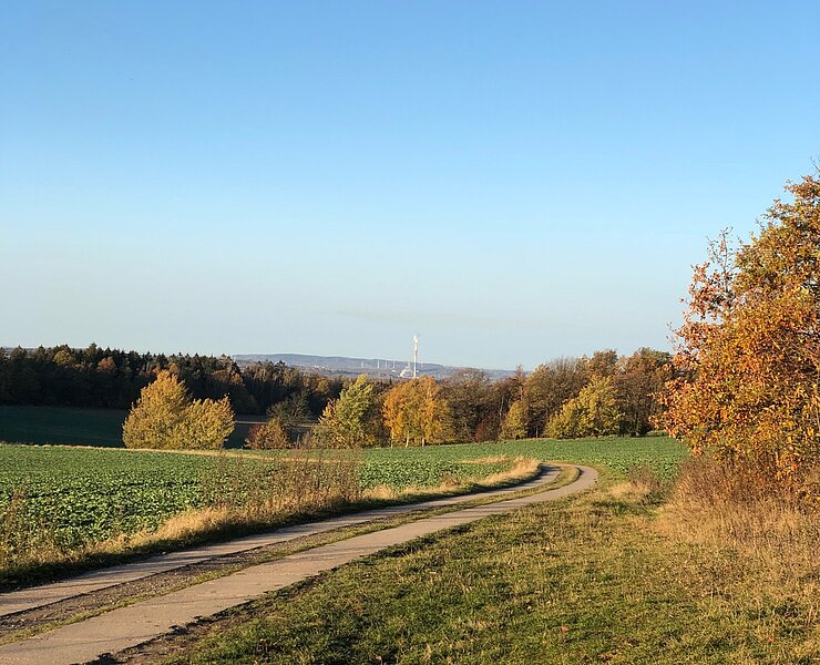 Blick Richtung Chemnitz (Wilfried Wußling)