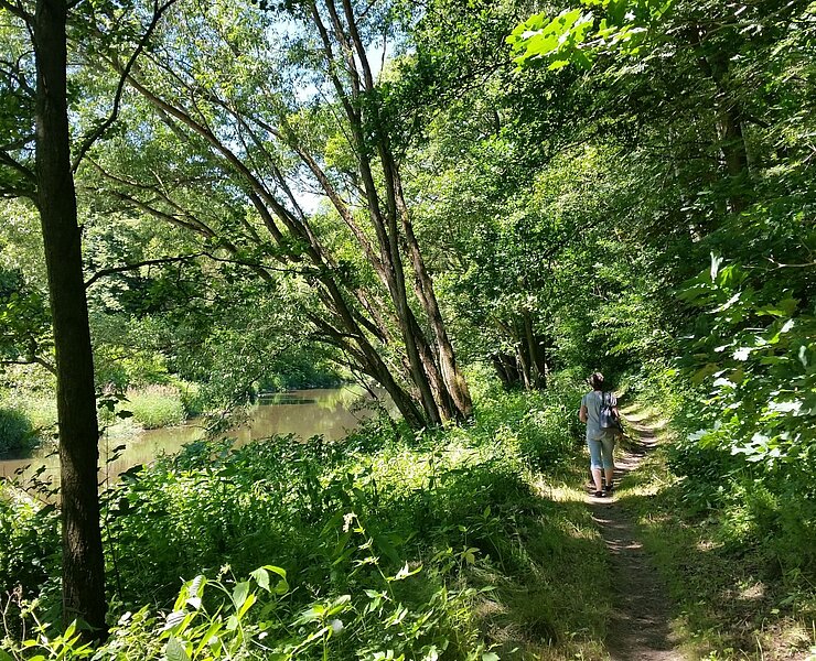 Zschopautalweg im Sommer ()