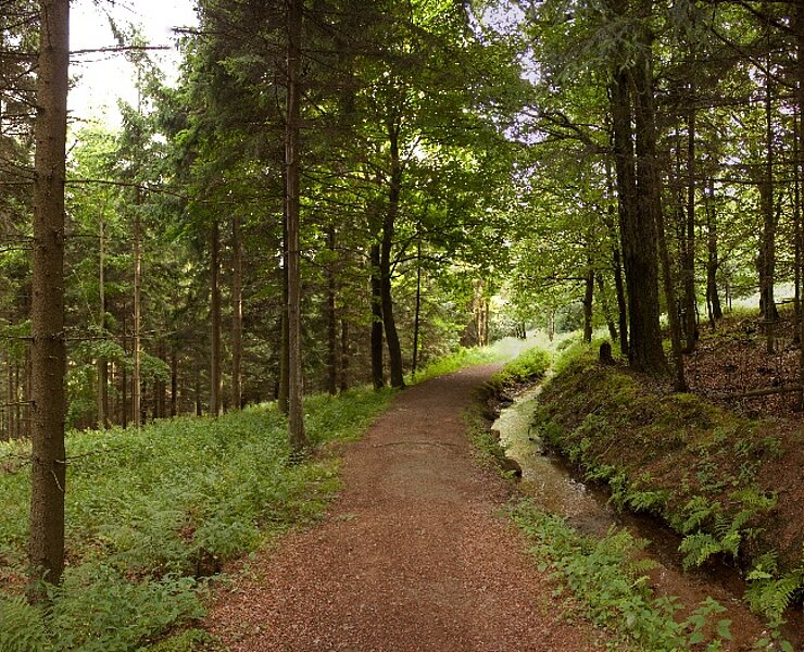 Bergbaulandschaft Altenberg-Zinnwald - Aschergraben (J. Kugler)