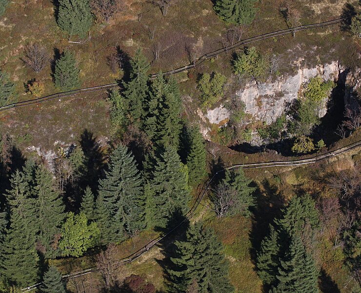 Bergbaulandschaft Hengsterben - Wildbahn Grube (WFE GmbH Annaberg-Buchholz)