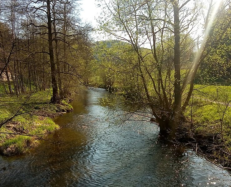 Zschopautal bei Wiesenbad (Kai Härtel, erlebnisschmiede-erzgebirge.de)