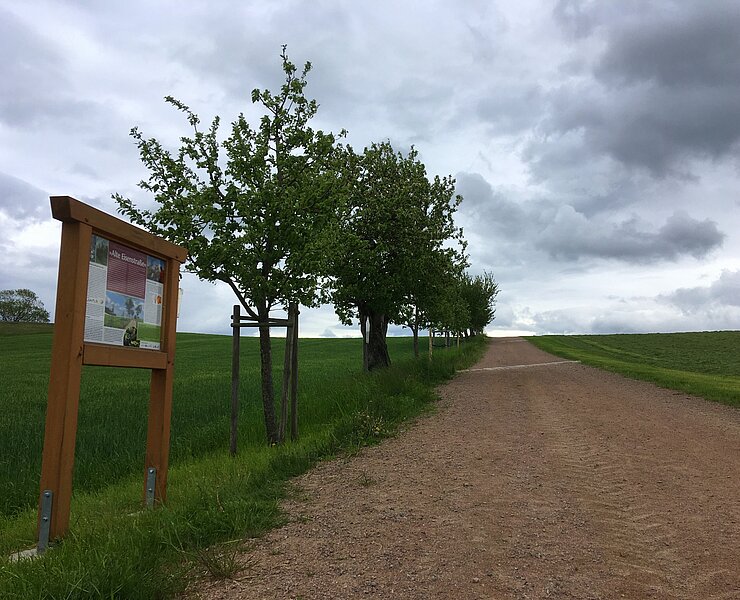 (Bianca Braun, Stadt Glashütte)