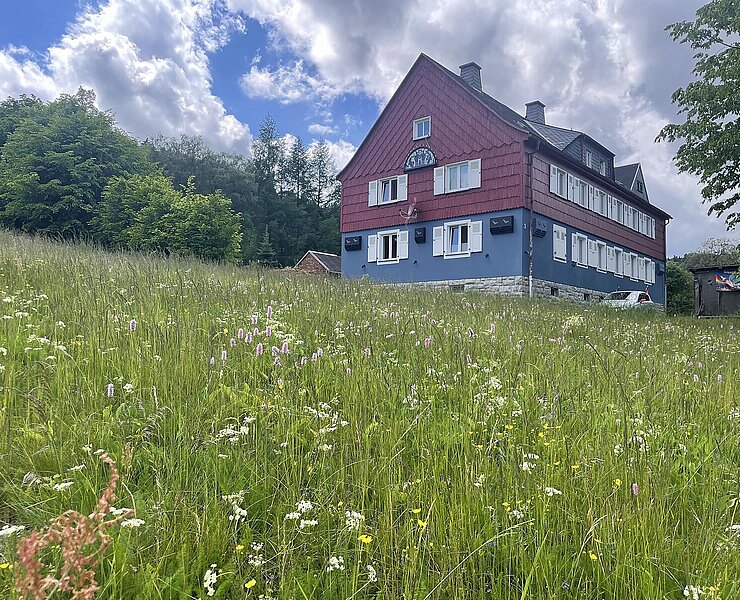 umgebung-sommer-ferienhaus-bergwiese-1600w ()
