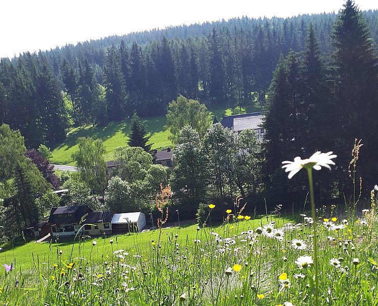 Am Kammweg in Schlössel (B. Knöbel)