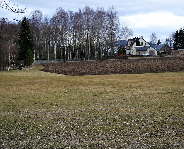 Hahnenrück (Thomas Jäger)