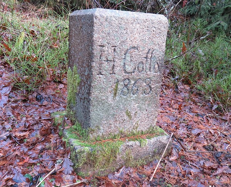 Cottastein (Peter Schreyer)