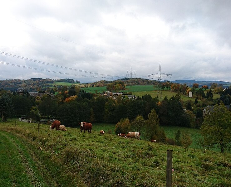 Rund um Mildenau (Online TVE)