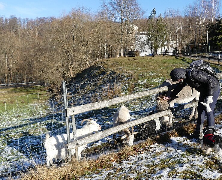  (Steffen Thränert, Natur- und Landschaftsführer)