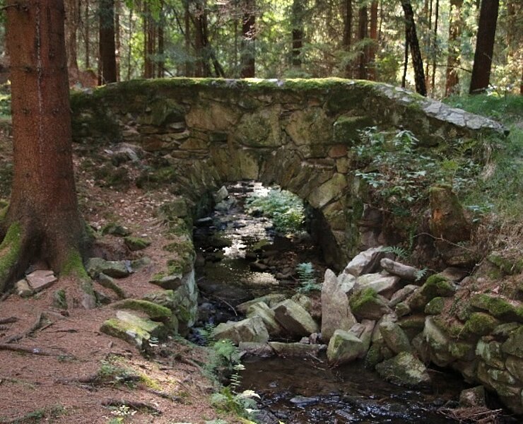 Eidechsenbrücke (Matthias Drechsel)
