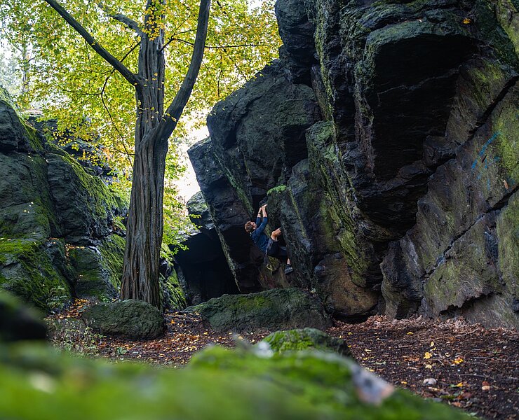 Boulderfelsen im Chemnitztal (Oliver Göhler)