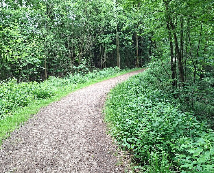 Weg zum Aussichtspunkt (Glück Auf Der Erlebnispark)