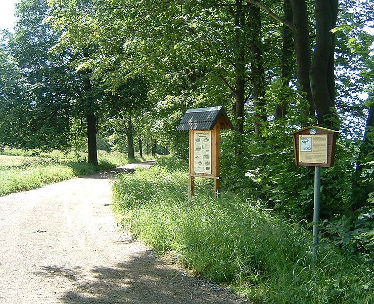  (Ute Florl)