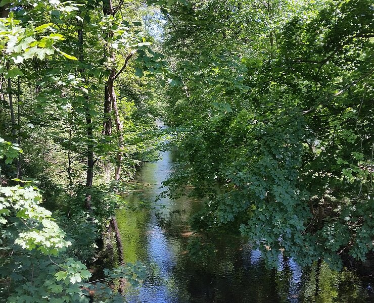 Im Flöhatal bei Hirschberg (B. Knöbel)