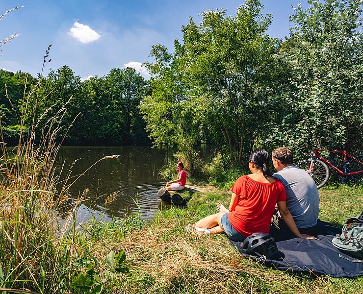Ufer der Zwickauer Mulde in Wolkenburg ()
