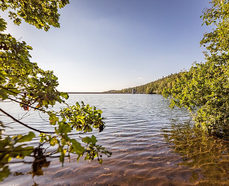 Blick über die Querenbachtalsperre (Fresia Photography)