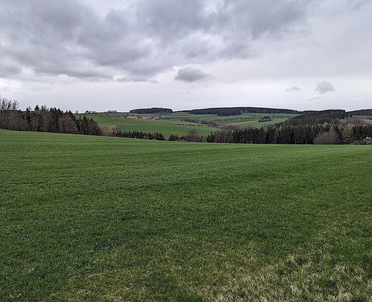 Blick vom Brettelhäuserweg in Richtung Lauterbach/ Lauterbacher Knochen (Rico Oelmann)