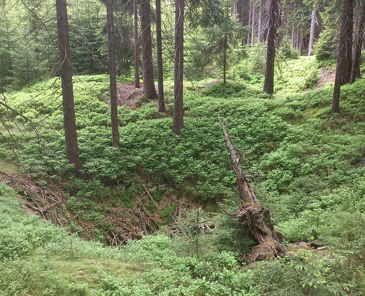 Bergbaulandschaft Eliastal - Halden und Pingen des Silberbergbau (16. Jh.) (WFE GmbH Annaberg-Buchholz)