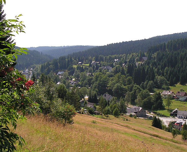 Blick vom Auersbergweg auf Wildenthal (Henry Pansch)