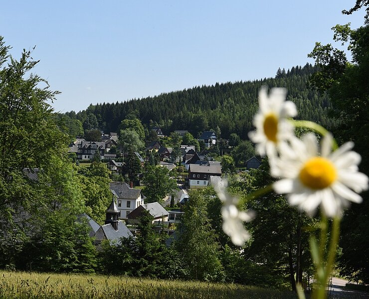 Bärenfels Ortsansicht (Egbert Kamprath)