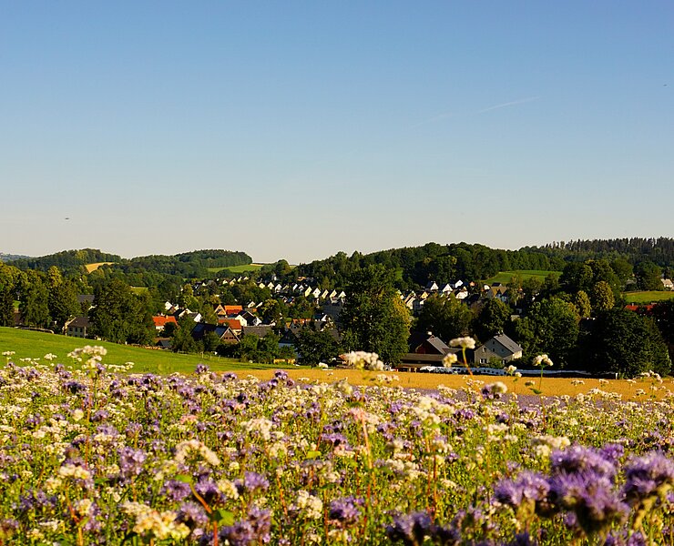 Blick über Borstendorf (Robert Arnold, Gemeinde Grünhainichen)