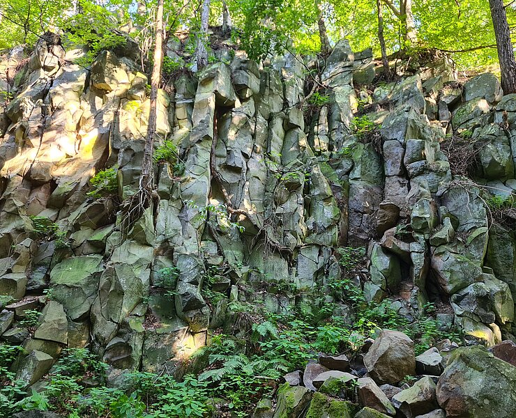 Geotop Basaltbruch "Ascherhübel" (GEOPARK Sachsens Mitte)