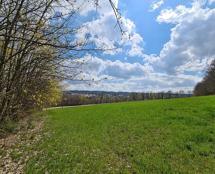 Blick über Jahnsdorf (Gemeinde Jahnsdorf)