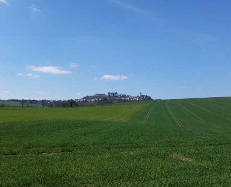 Blick aufs Schloss (Sabine May)